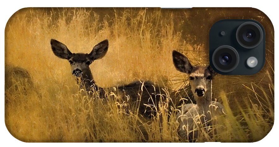 Deer iPhone Case featuring the photograph What'cha Lookin' At by Karen Slagle