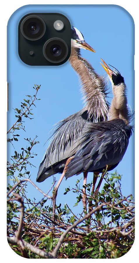 Heron iPhone Case featuring the photograph What's for Lunch Mom by Nikolyn McDonald