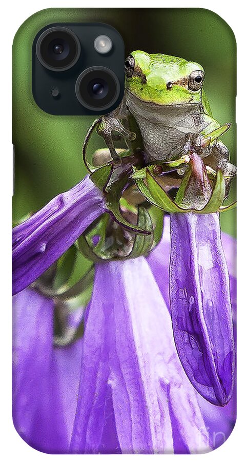 Tree Frog iPhone Case featuring the photograph What's Up? by Jan Killian