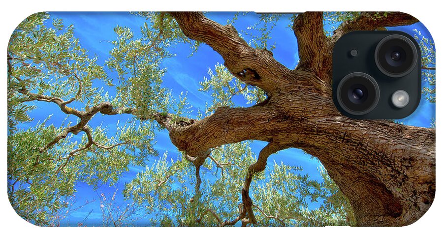 Scenics iPhone Case featuring the photograph ...when Olive Trees Make A Difference by Jordi Angrill