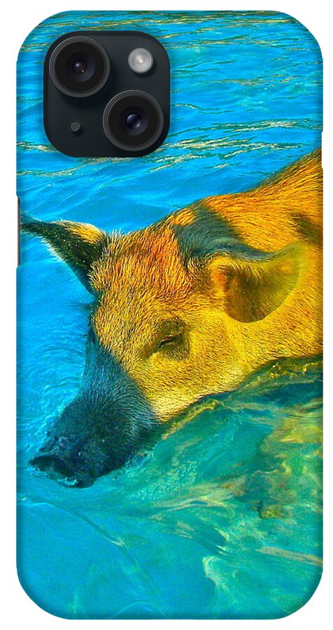 Pigs iPhone Case featuring the photograph When Pigs Swim by Kim Pippinger