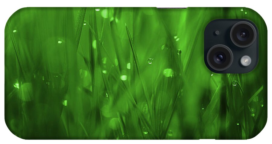Grass iPhone Case featuring the photograph Where Dreams Begin by Michael Eingle
