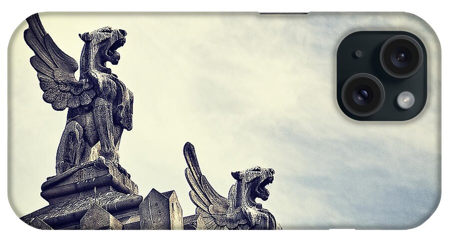Photography iPhone Case featuring the photograph Where the lions roar by Ivy Ho