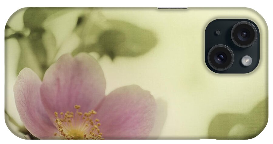 Rosa Acicularis iPhone Case featuring the photograph Where The Wild Roses Grow by Priska Wettstein