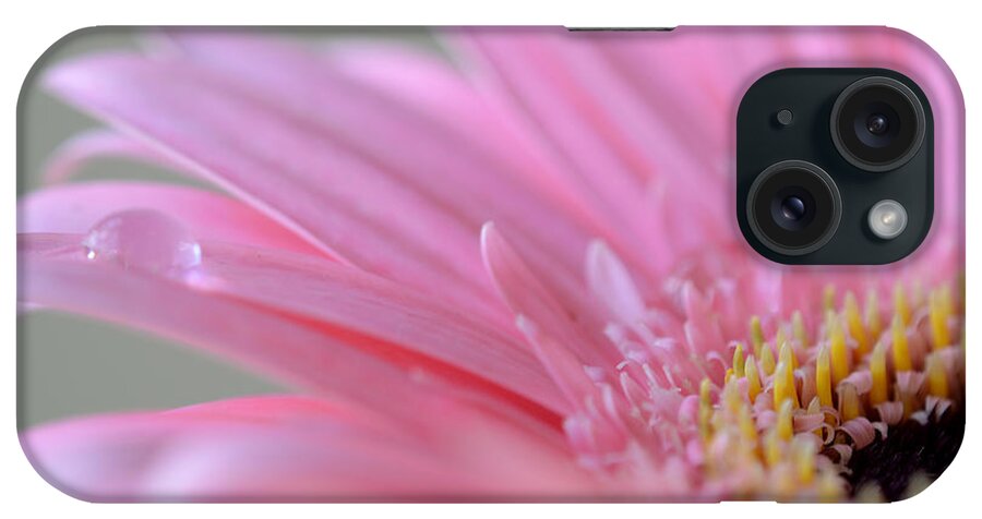 Flower iPhone Case featuring the photograph Wherever Your Heart Is by Melanie Moraga