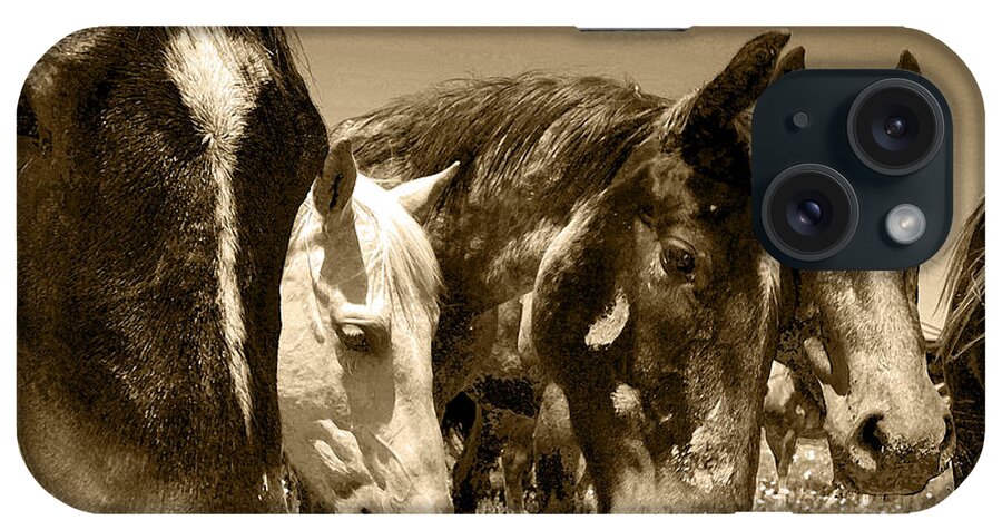 Whimsical iPhone Case featuring the photograph Whimsical Stallions by Amanda Smith
