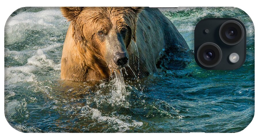 Alaska iPhone Case featuring the photograph Whirlpool Grizzly by Joan Wallner