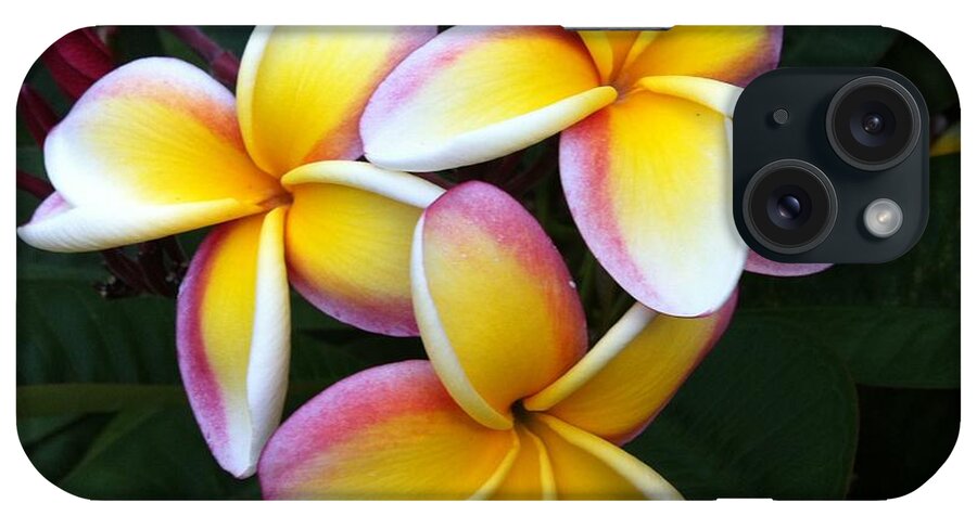 Yellow Plumeria iPhone Case featuring the photograph White and Yellow Plumeria by Angela Bushman