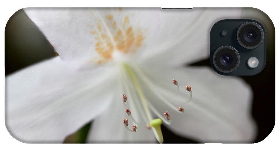 Azalea iPhone Case featuring the photograph White Azalea Flower Whispers by Jennie Marie Schell