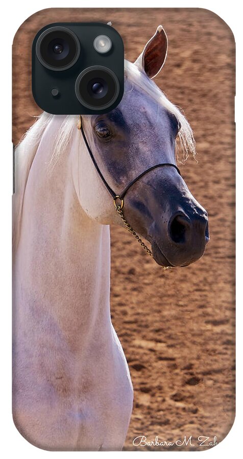 Horses iPhone Case featuring the photograph White Beauty by Barbara Zahno