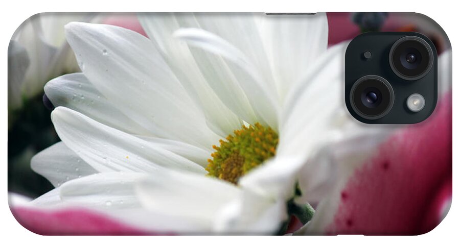 Flower iPhone Case featuring the photograph White beauty by Lily K