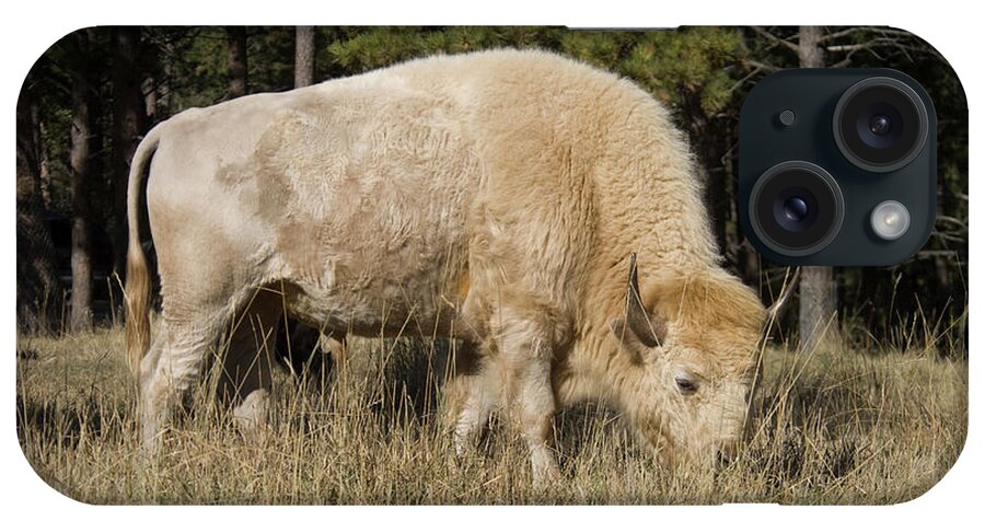 Photography iPhone Case featuring the photograph White Bison Symbol Of Hope And Renewal by Animal Images