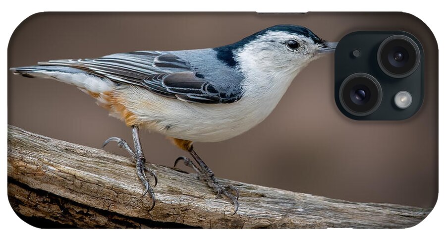 White iPhone Case featuring the photograph White Breasted Nuthatch by Steve Zimic