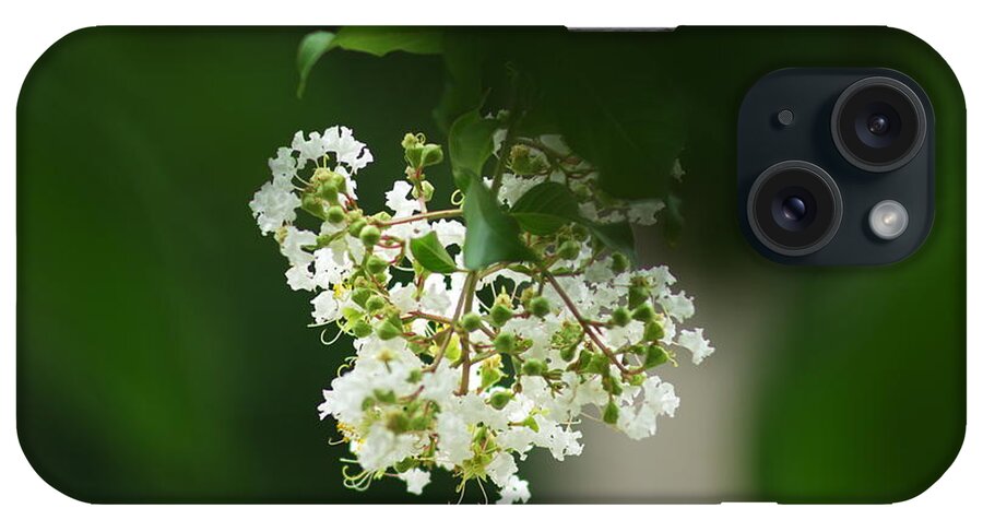 Crepe Myrtle iPhone Case featuring the photograph White Crepe Myrtle Blossom by Suzanne Powers