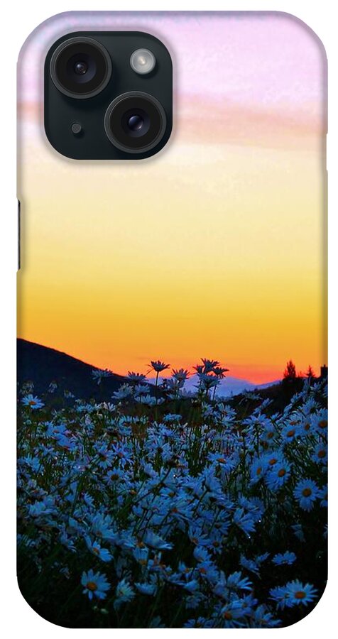 Grand Tetons iPhone Case featuring the photograph White daisies by Catie Canetti