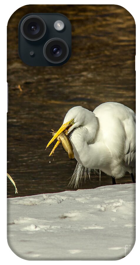 Animal iPhone Case featuring the photograph White Egret Snowy Bank by Robert Frederick
