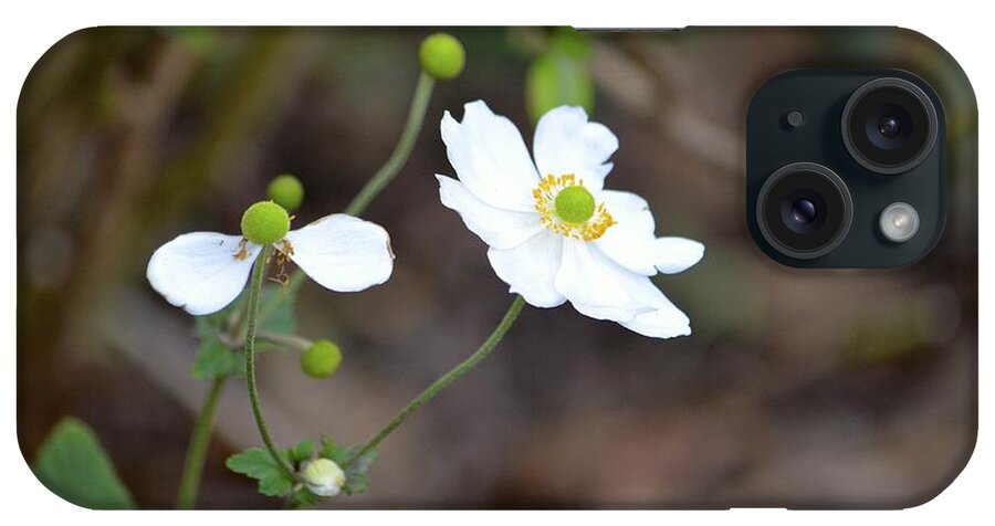 Flower iPhone Case featuring the photograph White Flower by Alex King