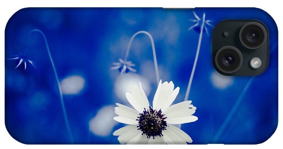 Art iPhone Case featuring the photograph White Flower by Darryl Dalton
