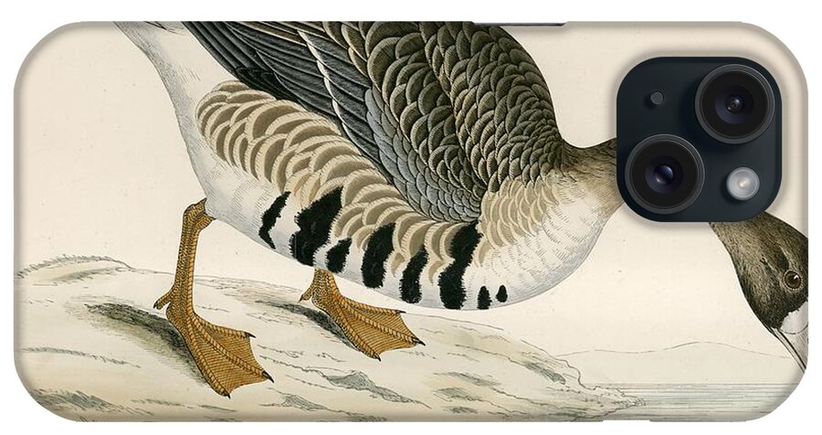 Birds iPhone Case featuring the photograph White Fronted Goose by Beverley R. Morris