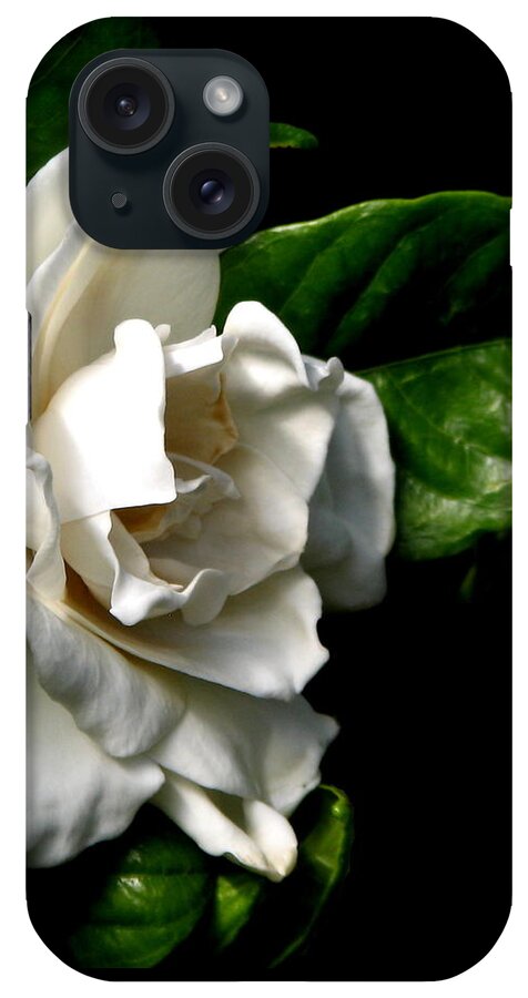 Gardenias iPhone Case featuring the photograph White Gardenia by Rose Santuci-Sofranko