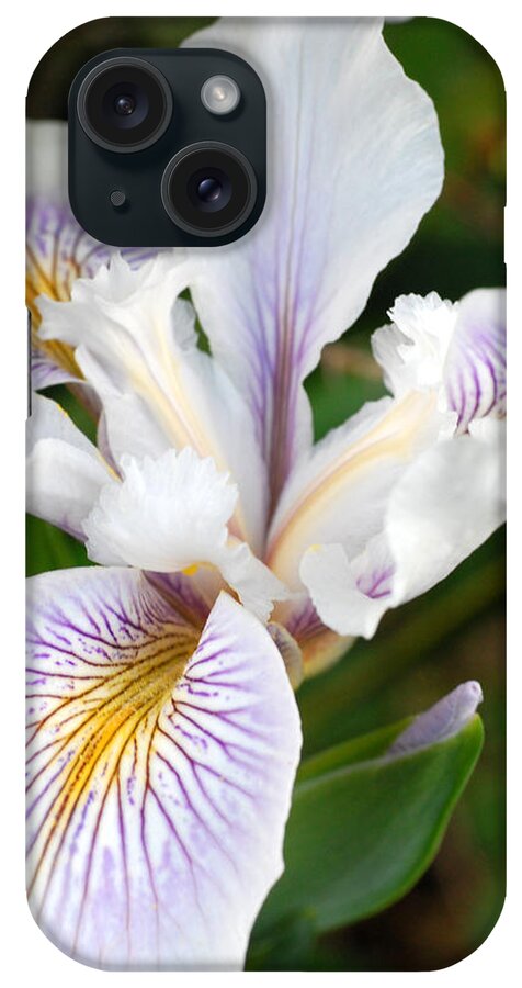 Flower iPhone Case featuring the photograph White Iris 2 by Amy Fose