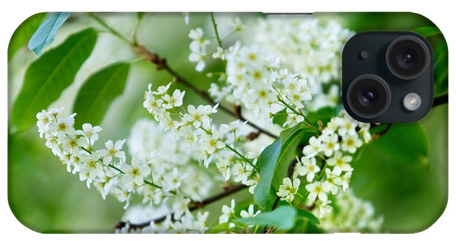 Lilac iPhone Case featuring the photograph White Lilac by Nailia Schwarz