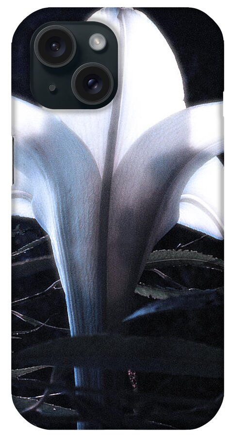 Lily iPhone Case featuring the photograph White Lily by Jan Marvin by Jan Marvin
