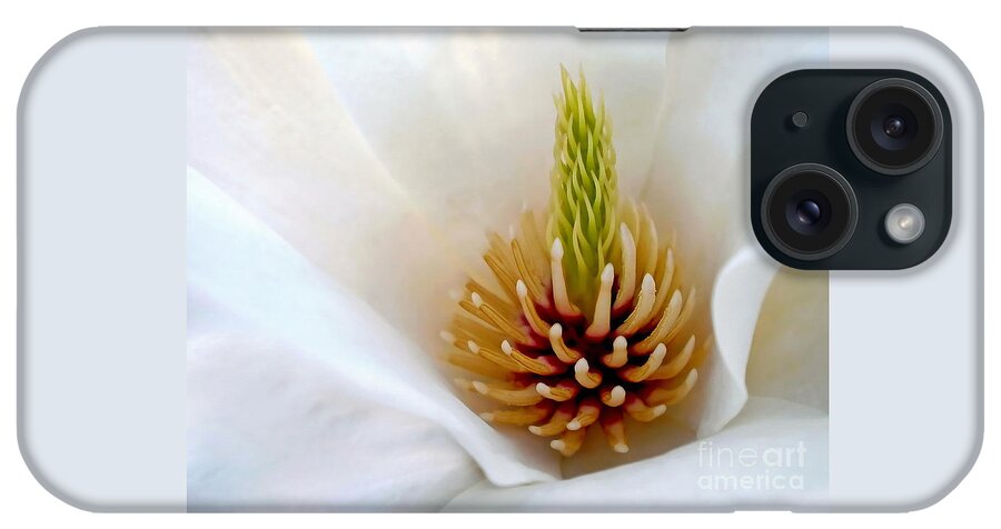 Photography iPhone Case featuring the photograph White Magnolia - Stamen by Kaye Menner