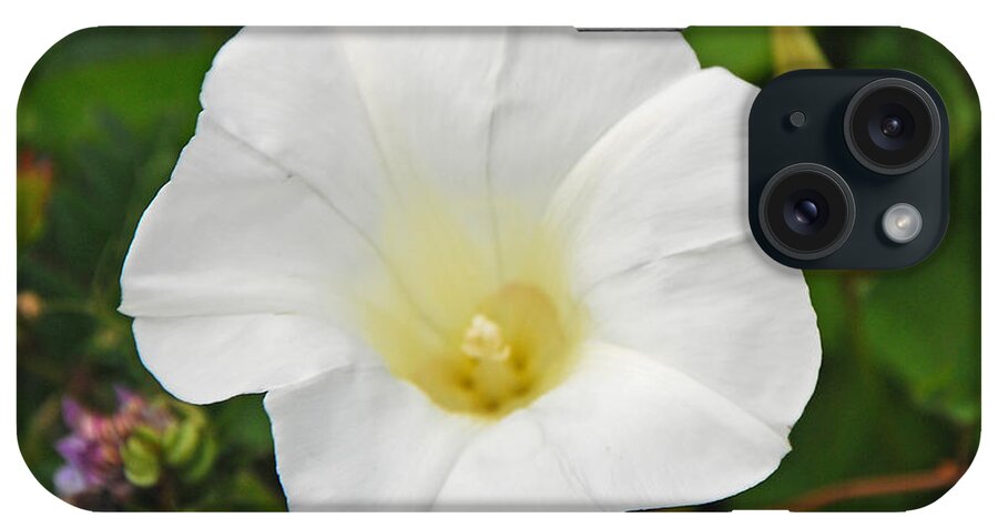 White iPhone Case featuring the photograph White Morning Glory by Mary Carol Story