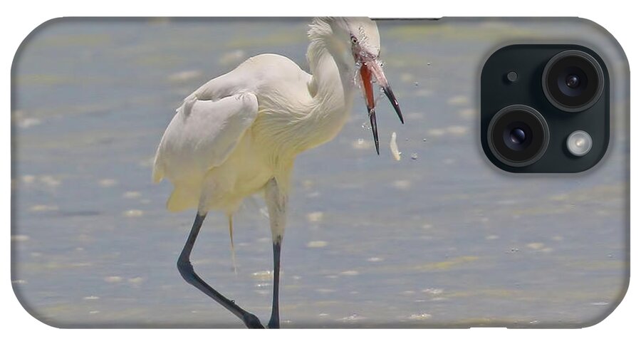 Reddish Egret iPhone Case featuring the photograph White morph Reddish Egret fish toss by Barbara Bowen