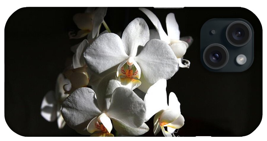 Flowerphoto iPhone Case featuring the photograph White Orchids by Jeremy Hayden