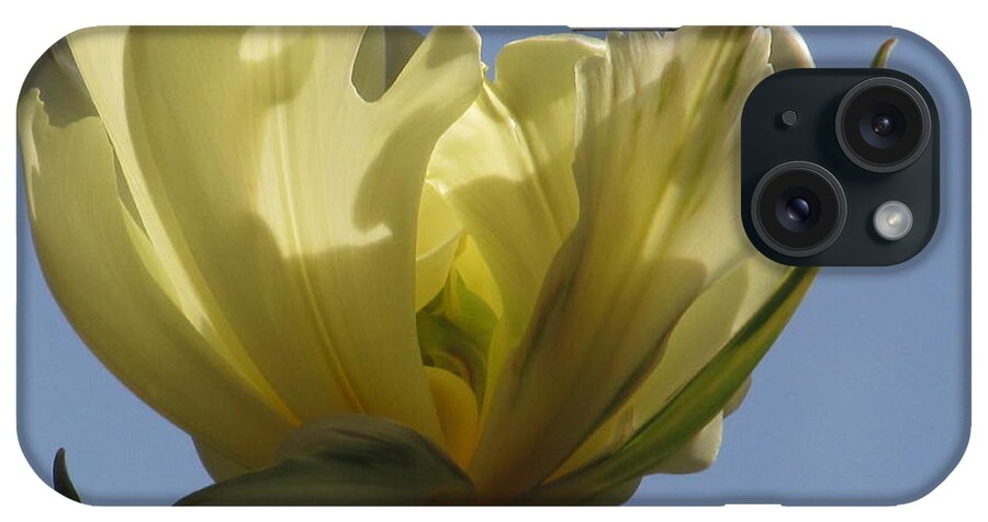 Spring iPhone Case featuring the photograph White Parrot Tulip by Alfred Ng