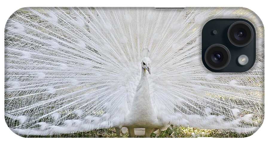 White iPhone Case featuring the photograph White Peacock - Fountain of Youth by Alexandra Till