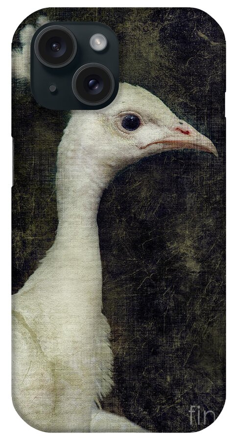 Peacock iPhone Case featuring the photograph White peacock by Jelena Jovanovic
