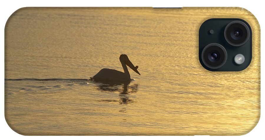 White iPhone Case featuring the photograph White Pelican on Golden Lake by Joan Wallner
