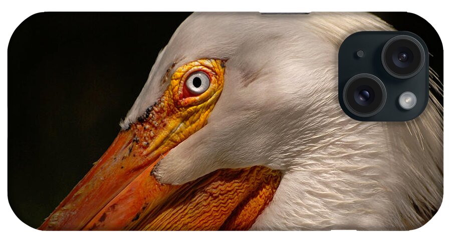 Bird iPhone Case featuring the photograph White Pelican Portrait by Lorenzo Cassina