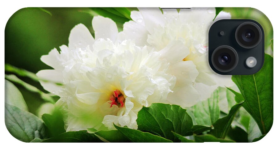 Flowers iPhone Case featuring the photograph White Peonies by Trina Ansel
