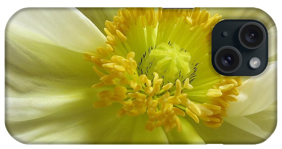 Poppy iPhone Case featuring the photograph White Poppy by Deborah Smith