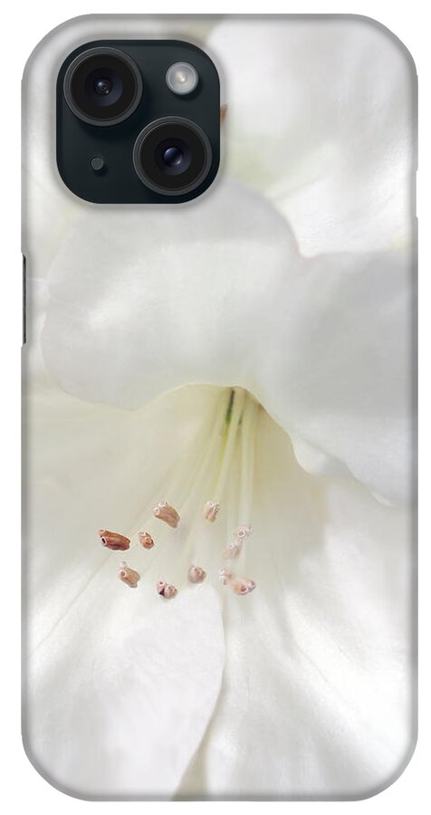 Rhododendron iPhone Case featuring the photograph White Rhododendron Flowers by Jennie Marie Schell