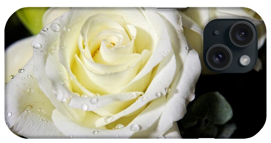 Rose iPhone Case featuring the photograph White Rose by Dave Files