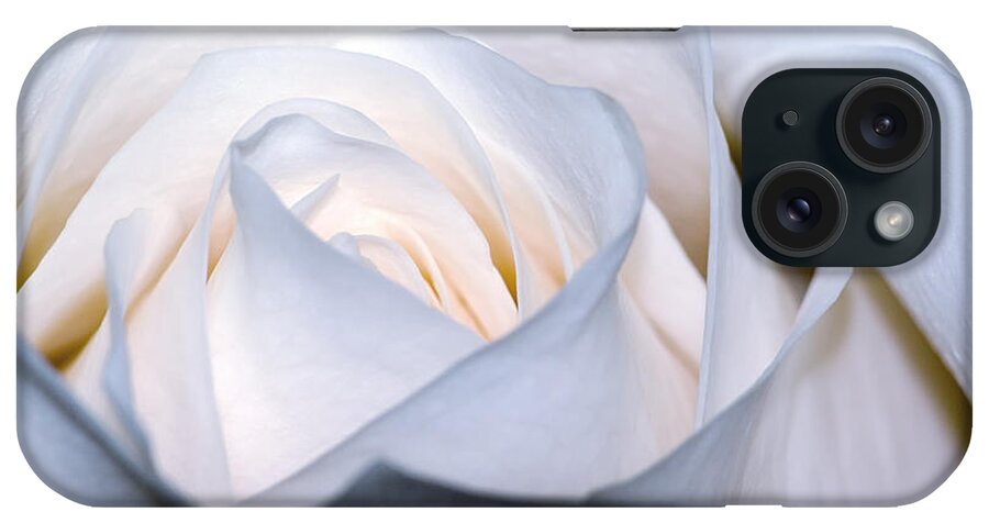 Color iPhone Case featuring the photograph White Rose by Jim Shackett