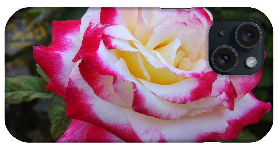 Flower iPhone Case featuring the photograph White rose with pink Texture Hybrid by Lingfai Leung