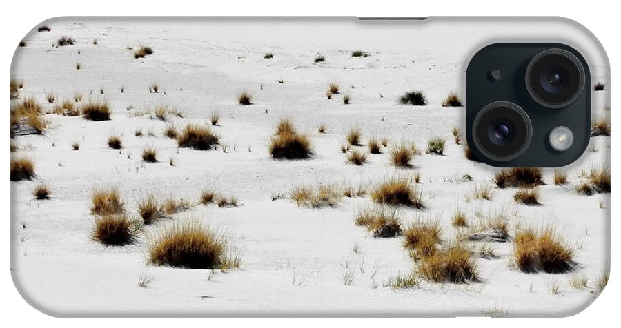 Digital Color Photo iPhone Case featuring the digital art White Sands Life by Tim Richards