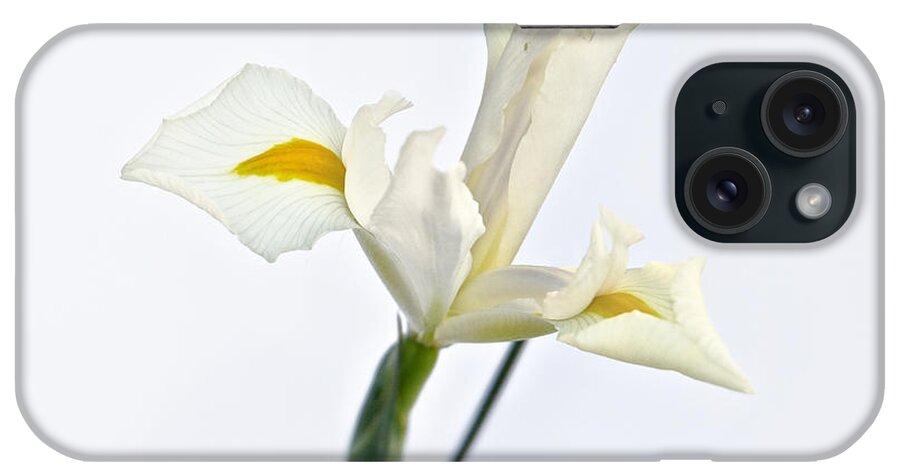 Flower iPhone Case featuring the photograph White Iris on White by Mary Lee Dereske