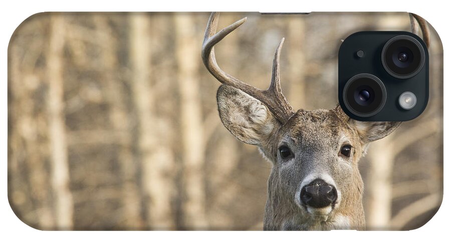 Deer iPhone Case featuring the photograph White-tailed Buck by Gary Beeler