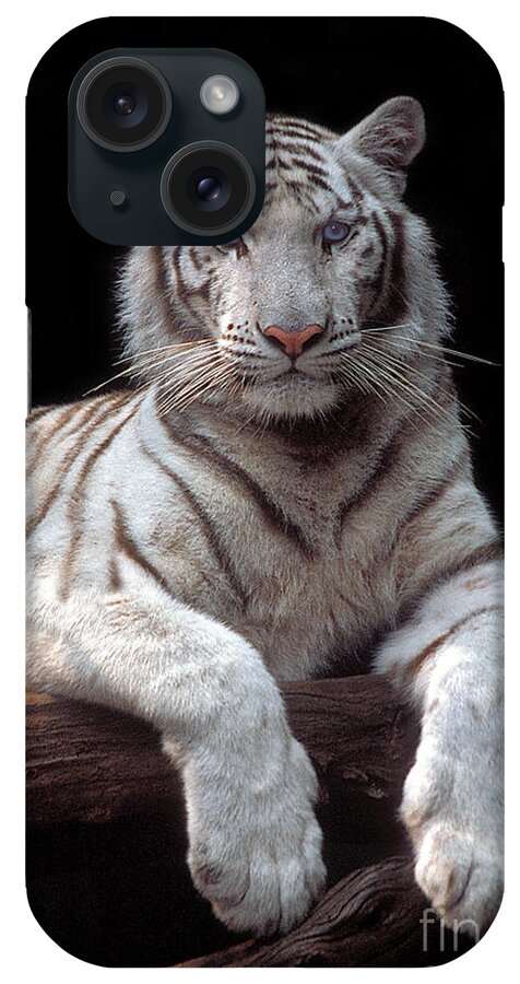 White Tiger iPhone Case featuring the photograph White Tiger by John Douglas