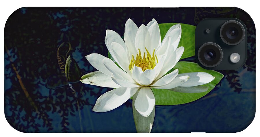 Lily iPhone Case featuring the photograph White Water Lily by Ann Powell