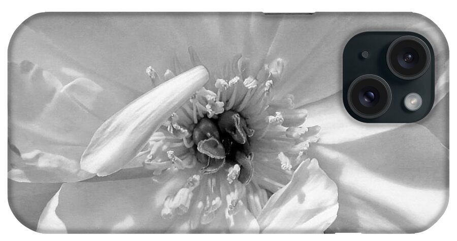 White iPhone Case featuring the photograph White Wedding by Lilliana Mendez