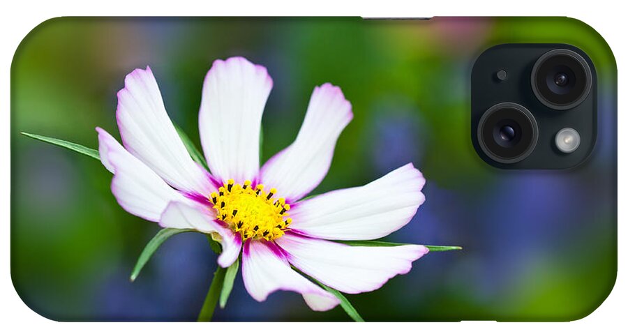 Nature iPhone Case featuring the photograph White Wildflower by Joan Herwig