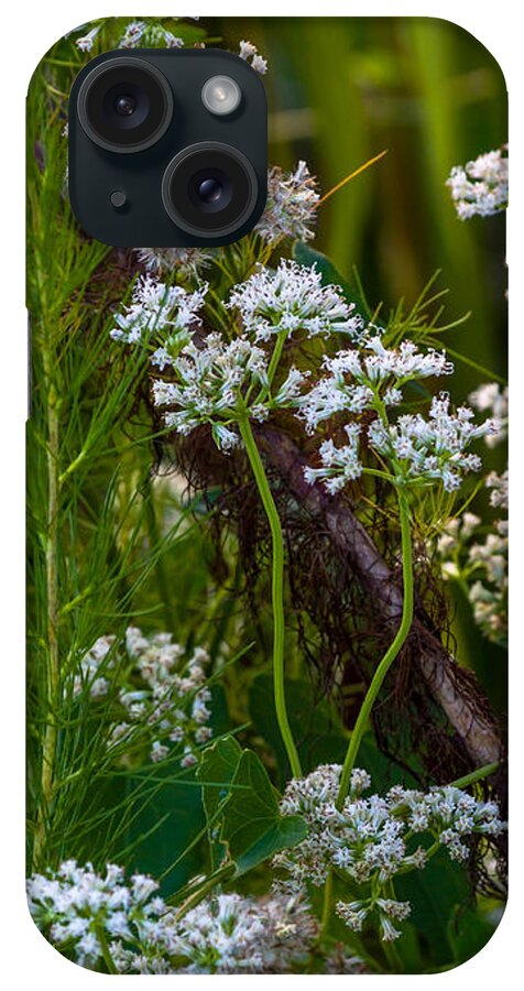 Wild Flowers iPhone Case featuring the photograph White Wildflowers on a Branch by Ed Gleichman